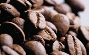Informe Lavazza_Coffee_01