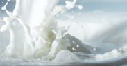 italian_uht_milk
