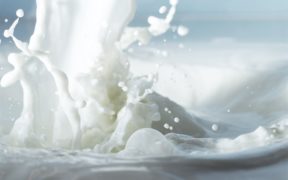 italian_uht_milk