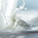 italian_uht_milk