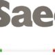logo saeco