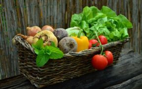 verduras