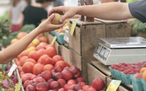 manzanas