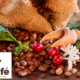 rocio_hervella_nueva_presidenta_de_la_asociacion_espanola_del_cafe