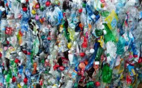 plastico_1