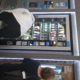 img-20190310-wa0090