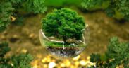 eva_ecologia