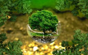 eva_ecologia