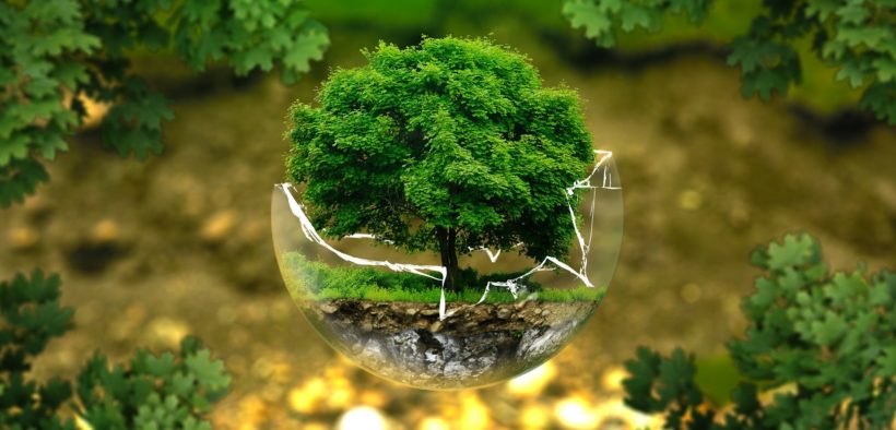eva_ecologia