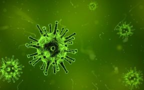 virus-1812092_640
