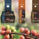 nuova_linea_vending2