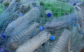 plastic-bottles-388679_640