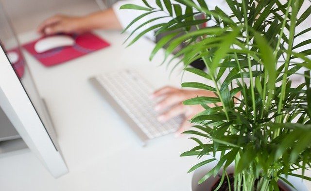 telework-5046230_640