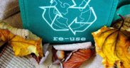 recycle-57136_1920