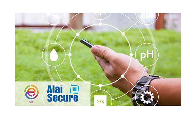 alaiweb2