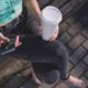 coffee-to-go-1853995_640