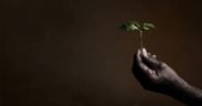 illy_b_corp_sustainable_orizz