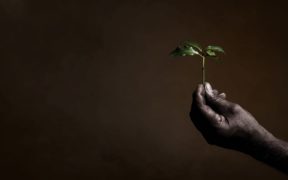 illy_b_corp_sustainable_orizz