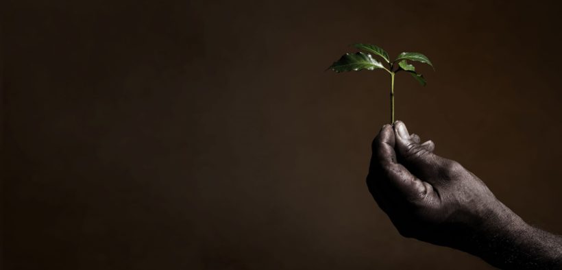 illy_b_corp_sustainable_orizz