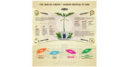 lavazzaweb3