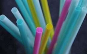 straws-3193715_640