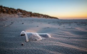 beach-5697987_640