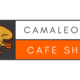 Nexus Machines y Alsina Vending crean Camaleonic Shop, S.L.