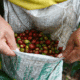 Las ventas de café certificadas con sello Fairtrade crecen un 104% en los últimos cinco años