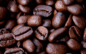 illycaffè celebra el Día Internacional del Café con la campaña #Stand4CoffeeFuture