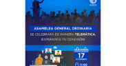 Últimas acciones de Aneda