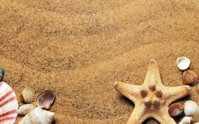 Estaremos de vacaciones entre los días 8 y 28 de agosto