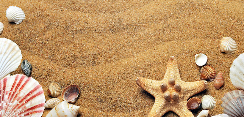 Estaremos de vacaciones entre los días 8 y 28 de agosto