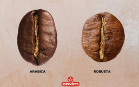 Arábica y Robusta: la respuesta de Covim a los paladares más exigentes