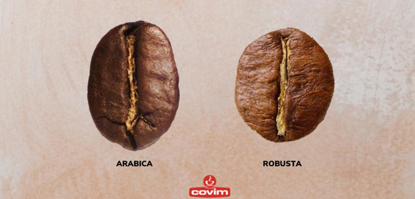 Arábica y Robusta: la respuesta de Covim a los paladares más exigentes