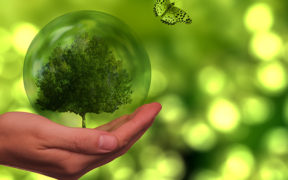 Grupo Evoca. Hacia el liderazgo en eficiencia energética