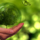 Grupo Evoca. Hacia el liderazgo en eficiencia energética