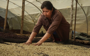 Café certificado