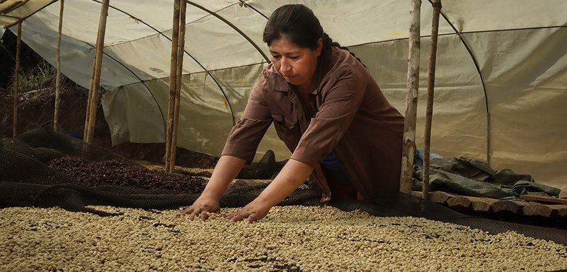 Café certificado