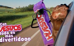 divertidooo