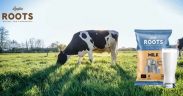 leche BIO soluble