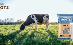 leche BIO soluble