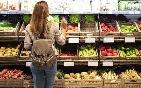 Alimentación