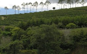 acuerdo de colaboración